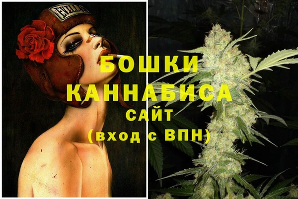 гидра Новокубанск