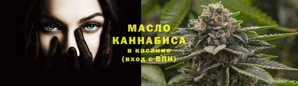 соль ск Новодвинск