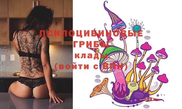 гидра Новокубанск