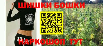apvp Гусь-Хрустальный