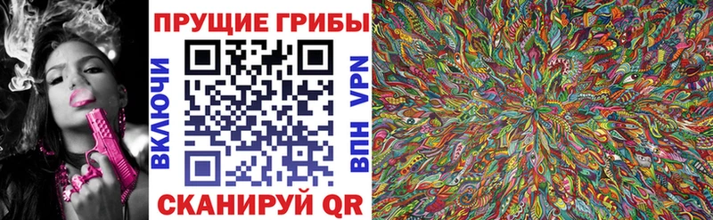Галлюциногенные грибы Magic Shrooms  сколько стоит  Зима 