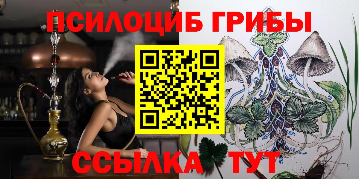 Псилоцибиновые грибы Cubensis  даркнет сайт  Вход с VPN  Зима  Галлюциногенные грибы MAGIC MUSHROOMS 