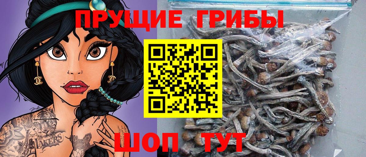 Псилоцибиновые грибы мухоморы Зима